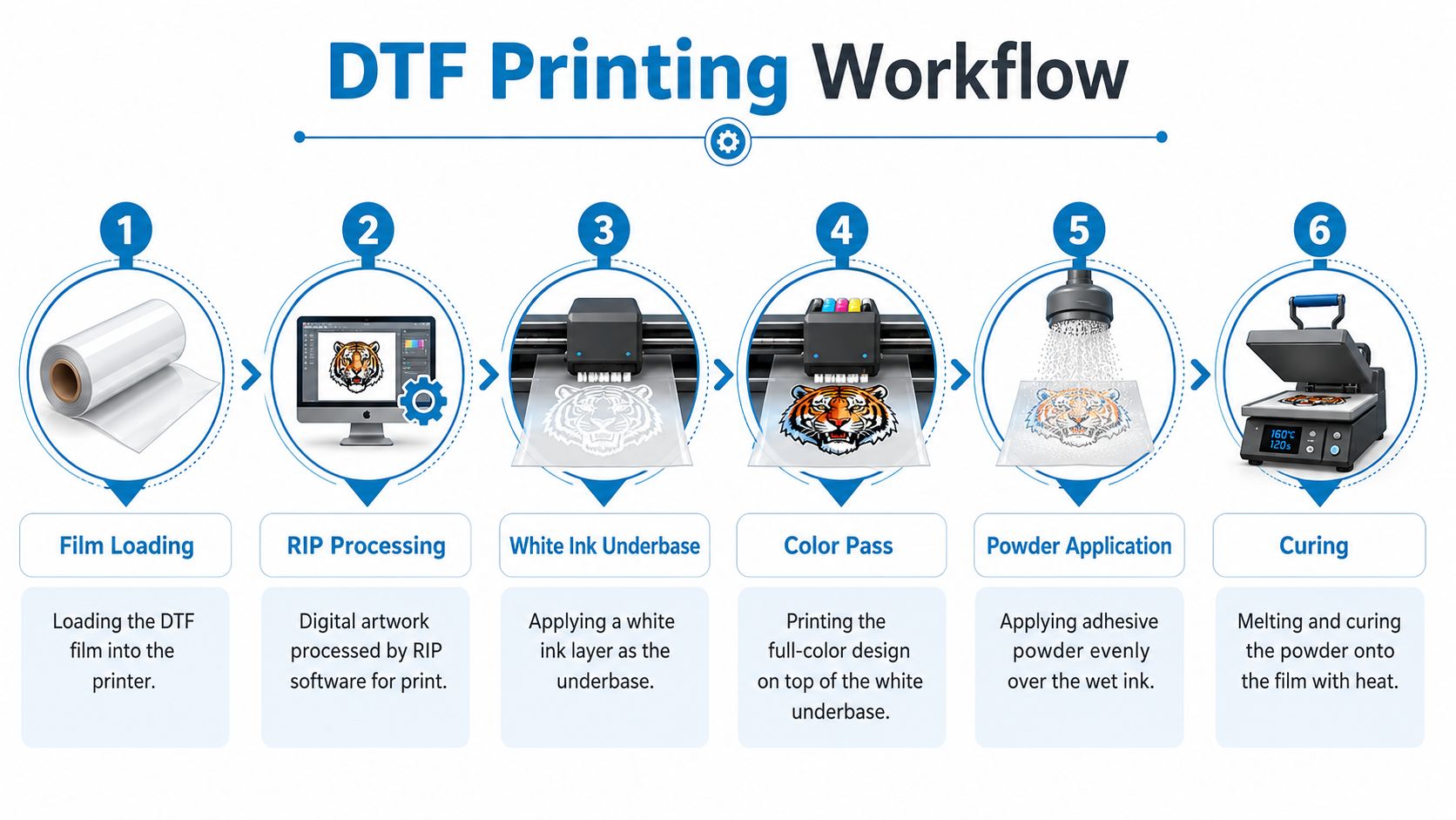 A diagram illustrating the six-step DTF printing workflow, from film loading to the final curing process.